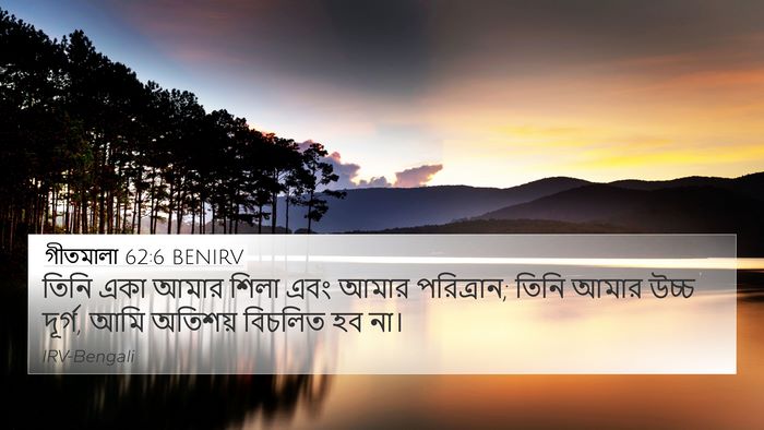 গীতমালা 62:6 BENIRV Bible Verse Image