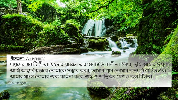 গীতমালা 63:1 BENIRV 4K Wallpaper - দায়ূদের একটি - 4K Wallpaper Bible Verse