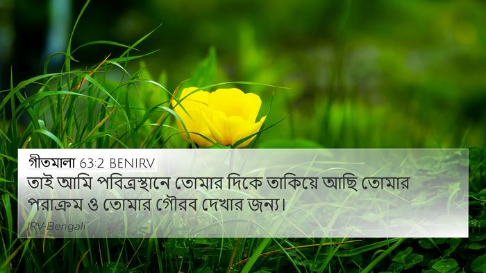 গীতমালা 63:2 BENIRV Bible Verse Image