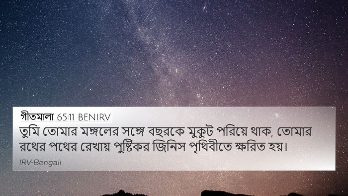 গীতমালা 65:11 BENIRV 4K Wallpaper - তুমি তোমার - 4K Wallpaper Bible Verse