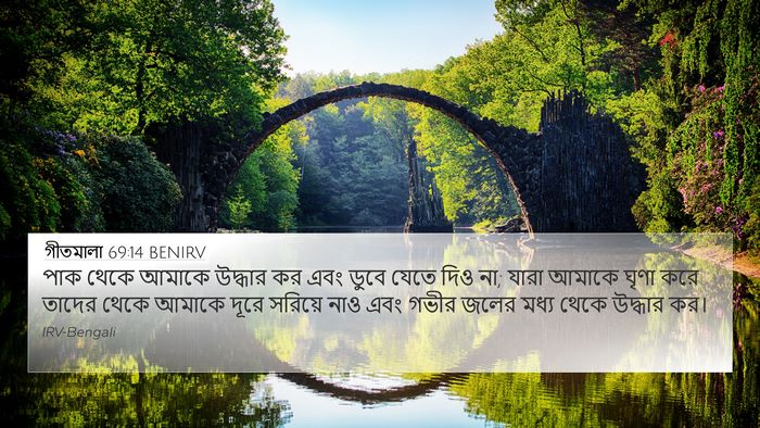 গীতমালা 69:14 BENIRV Bible Verse Image
