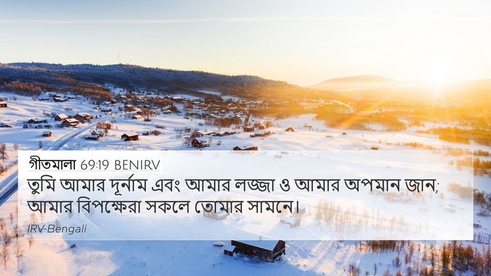 গীতমালা 69:19 BENIRV Bible Verse Image