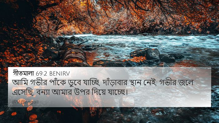 গীতমালা 69:2 BENIRV Bible Verse Image