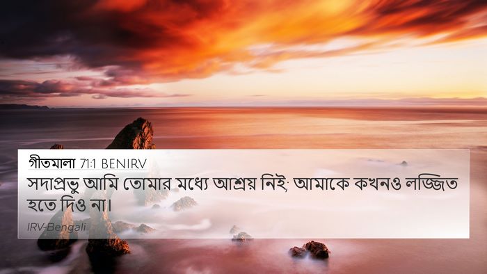 গীতমালা 71:1 BENIRV 4K Wallpaper - সদাপ্রভুু আমি - 4K Wallpaper Bible Verse