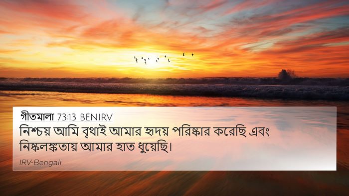 গীতমালা 73:13 BENIRV Bible Verse Image