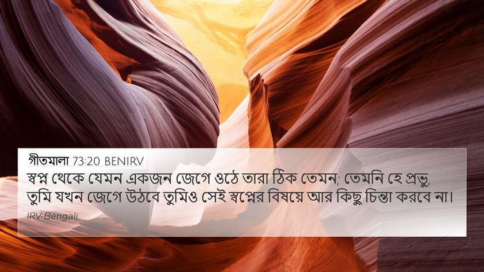 গীতমালা 73:20 BENIRV Bible Verse Image