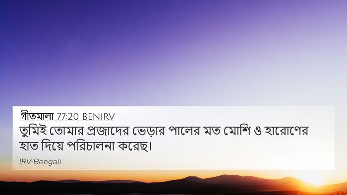গীতমালা 77:20 BENIRV Bible Verse Image