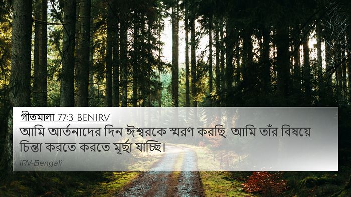 গীতমালা 77:3 BENIRV Bible Verse Image