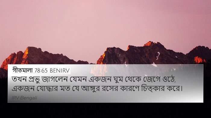 গীতমালা 78:65 BENIRV Bible Verse Image