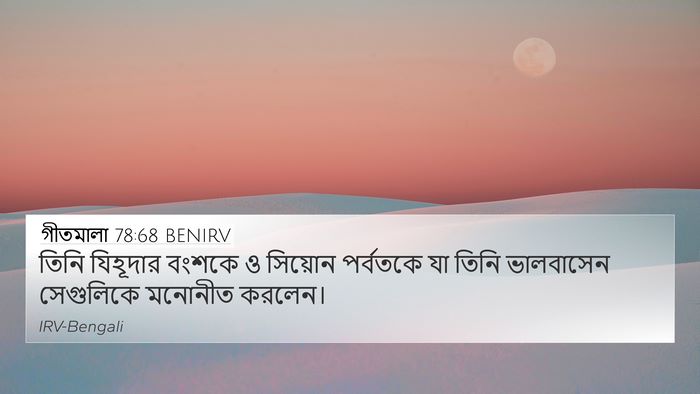 গীতমালা 78:68 BENIRV 4K Wallpaper - তিনি যিহূদার - 4K Wallpaper Bible Verse