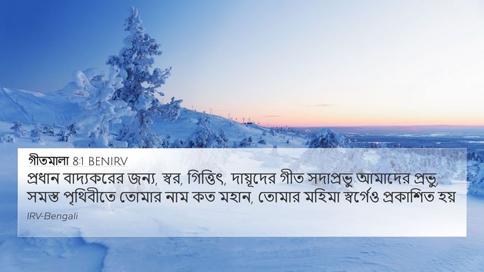 গীতমালা 8:1 BENIRV Bible Verse Image