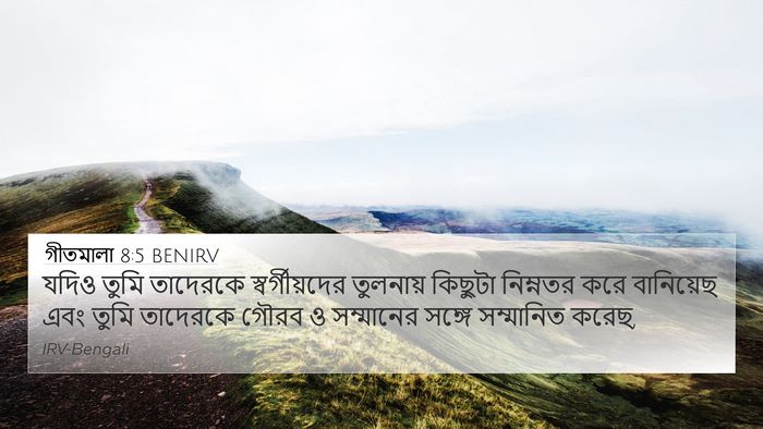 গীতমালা 8:5 BENIRV Bible Verse Image