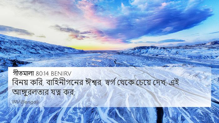 গীতমালা 80:14 BENIRV Bible Verse Image
