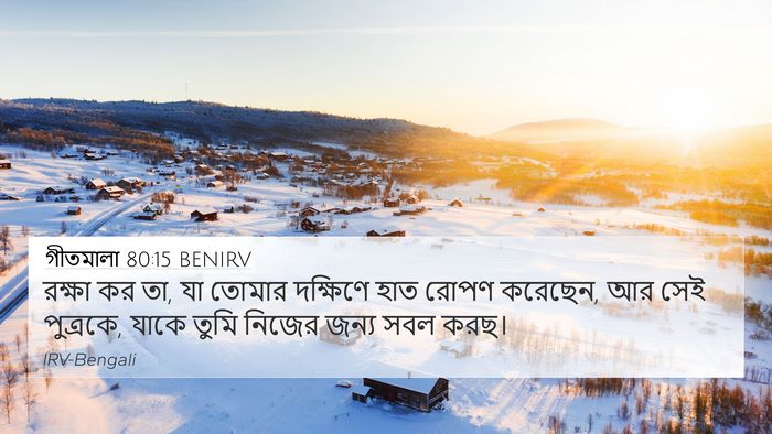 গীতমালা 80:15 BENIRV Bible Verse Image