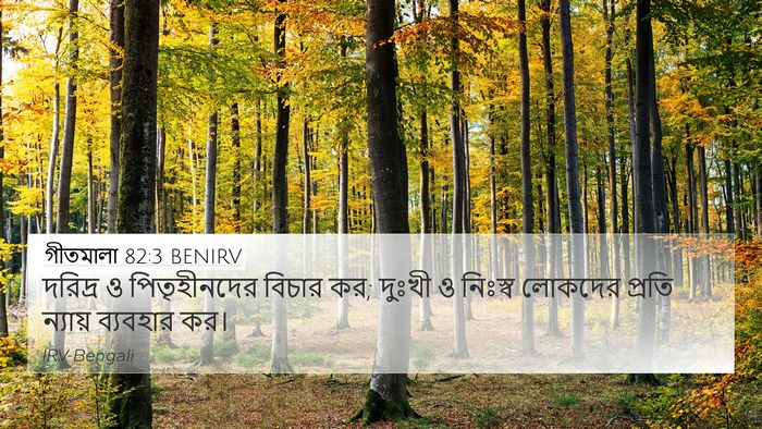 গীতমালা 82:3 BENIRV Bible Verse Image