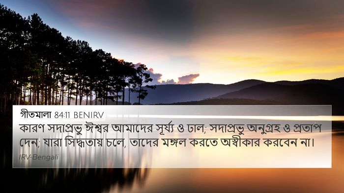 গীতমালা 84:11 BENIRV Bible Verse Image