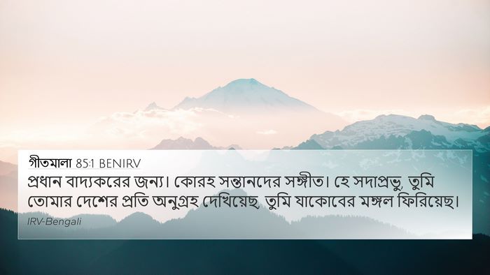 গীতমালা 85:1 BENIRV Bible Verse Image