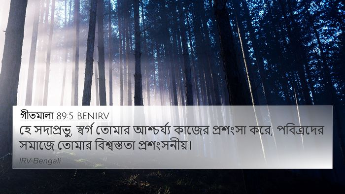 গীতমালা 89:5 BENIRV Bible Verse Image
