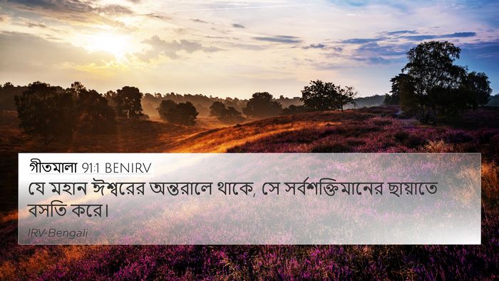 গীতমালা 91:1 BENIRV Bible Verse Image