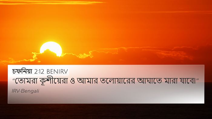 চফনিয়া 2:12 BENIRV Bible Verse Image