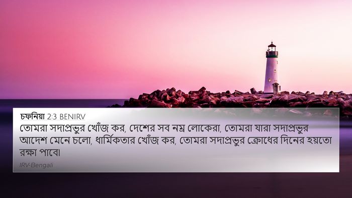 চফনিয়া 2:3 BENIRV Bible Verse Image