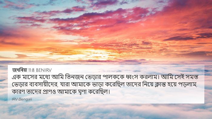 জখৰিয়া 11:8 BENIRV Bible Verse Image