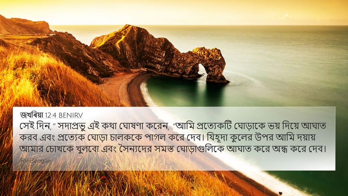 জখৰিয়া 12:4 BENIRV Bible Verse Image
