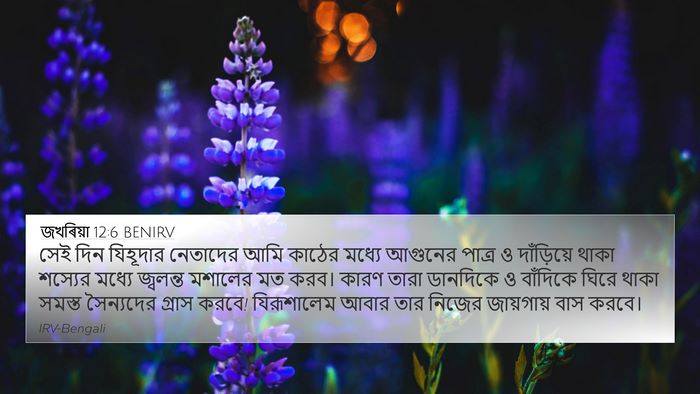 জখৰিয়া 12:6 BENIRV Bible Verse Image