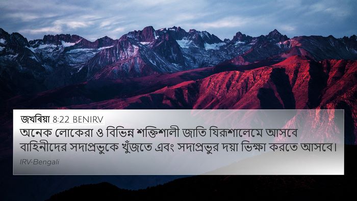 জখৰিয়া 8:22 BENIRV Bible Verse Image