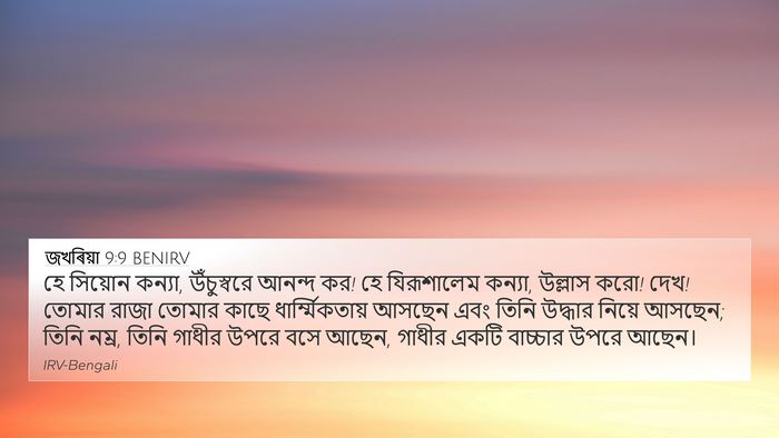 জখৰিয়া 9:9 BENIRV Bible Verse Image