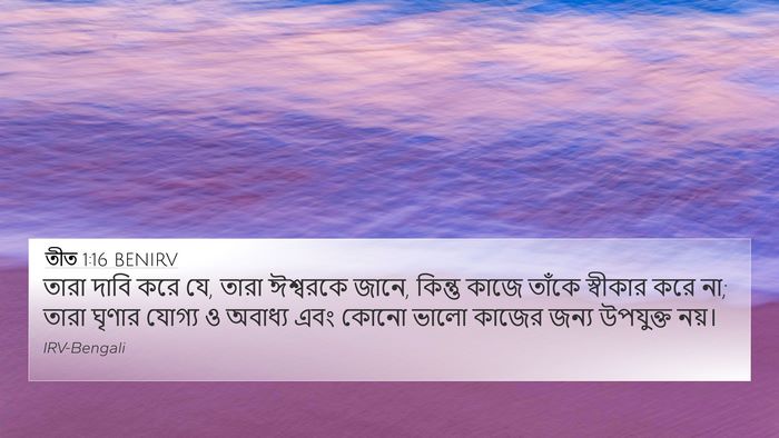 তীত 1:16 BENIRV Bible Verse Image
