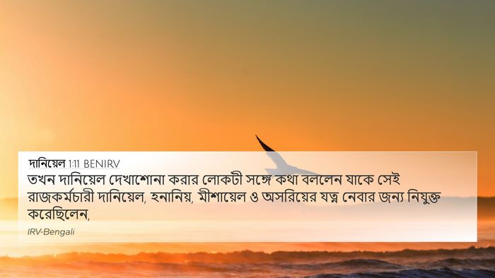 দানিয়েল 1:11 BENIRV 4K Wallpaper - তখন দানিয়েল - 4K Wallpaper Bible Verse