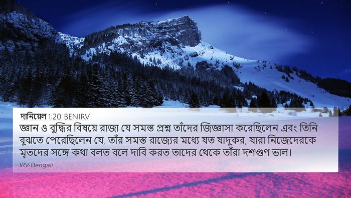 দানিয়েল 1:20 BENIRV Bible Verse Image