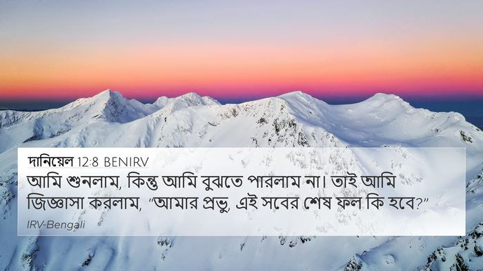 দানিয়েল 12:8 BENIRV Bible Verse Image