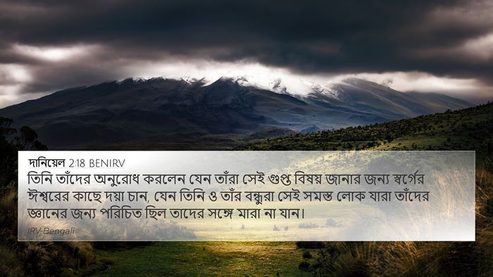 দানিয়েল 2:18 BENIRV Bible Verse Image