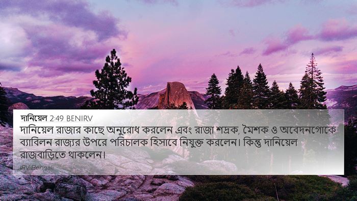 দানিয়েল 2:49 BENIRV Bible Verse Image