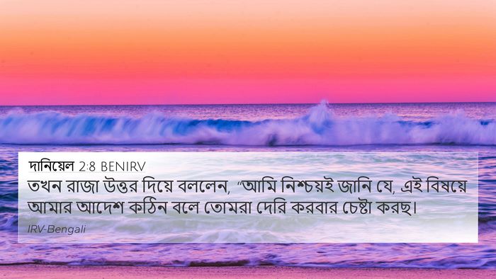 দানিয়েল 2:8 BENIRV 4K Wallpaper - তখন রাজা উত্তর - 4K Wallpaper Bible Verse