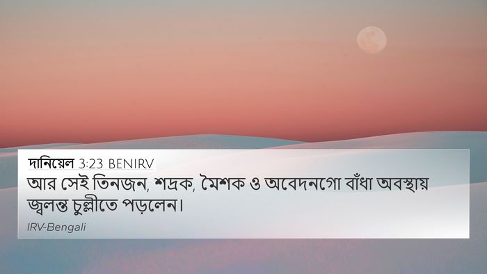 দানিয়েল 3:23 BENIRV 4K Wallpaper - আর সেই তিনজন, - 4K Wallpaper Bible Verse