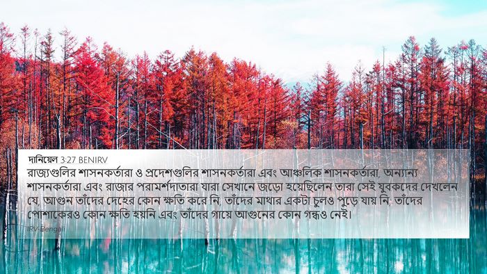 দানিয়েল 3:27 BENIRV Bible Verse Image