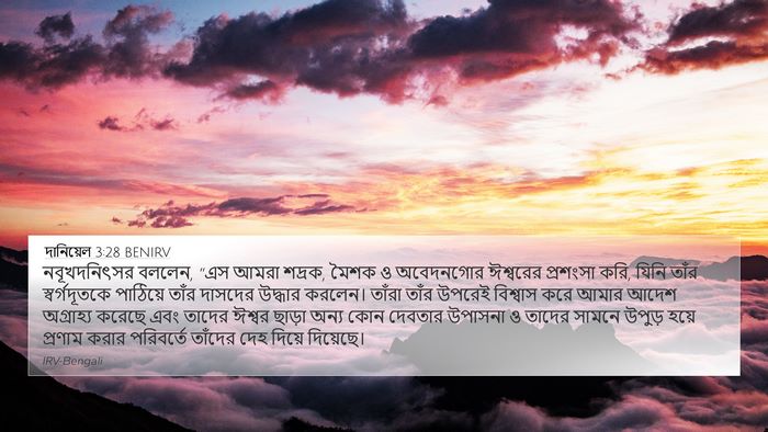 দানিয়েল 3:28 BENIRV Bible Verse Image