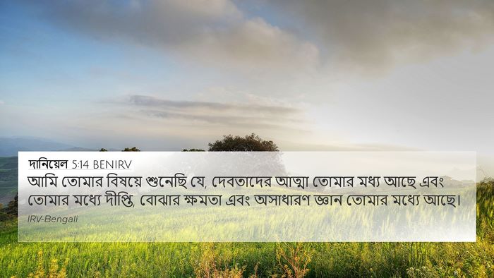 দানিয়েল 5:14 BENIRV Bible Verse Image