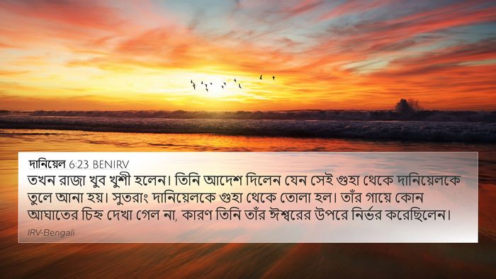 দানিয়েল 6:23 BENIRV 4K Wallpaper - তখন রাজা খুব খুশী - 4K Wallpaper Bible Verse