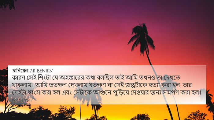 দানিয়েল 7:11 BENIRV 4K Wallpaper - কারণ সেই শিংটা যে - 4K Wallpaper Bible Verse