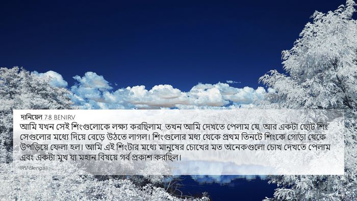 দানিয়েল 7:8 BENIRV Bible Verse Image