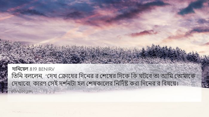 দানিয়েল 8:19 BENIRV Bible Verse Image