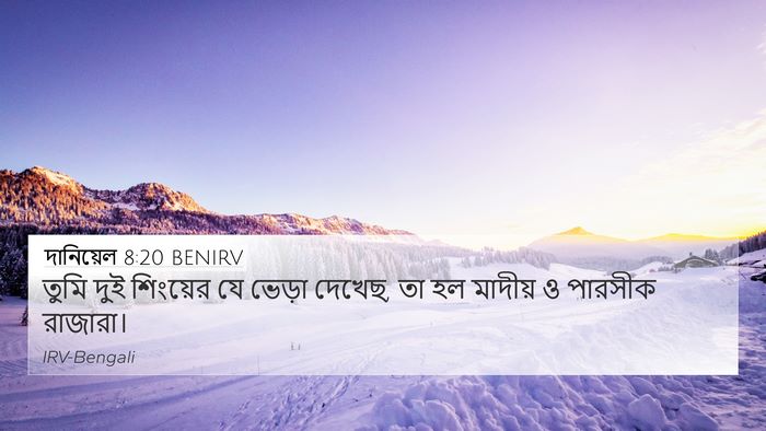 দানিয়েল 8:20 BENIRV Bible Verse Image