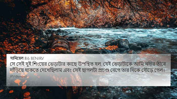 দানিয়েল 8:6 BENIRV 4K Wallpaper - সে সেই দুই শিংয়ের - 4K Wallpaper Bible Verse