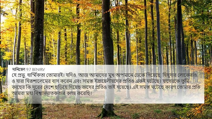 দানিয়েল 9:7 BENIRV 4K Wallpaper - হে প্রভু, - 4K Wallpaper Bible Verse