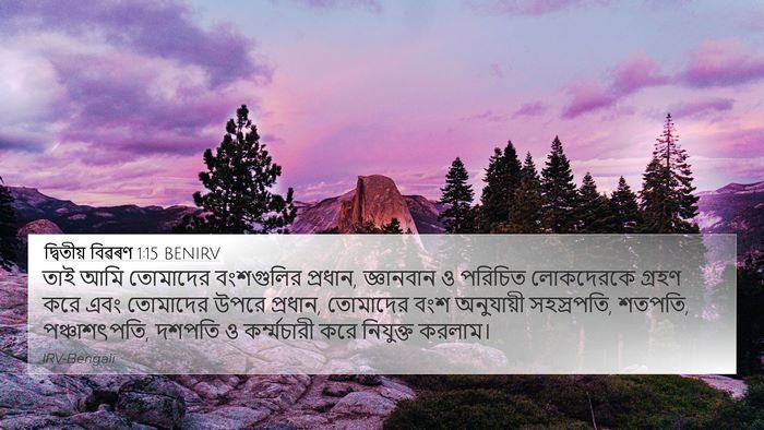 দ্বিতীয় বিৱৰণ 1:15 BENIRV Bible Verse Image