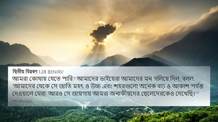 দ্বিতীয় বিৱৰণ 1:28 BENIRV Bible Verse Image